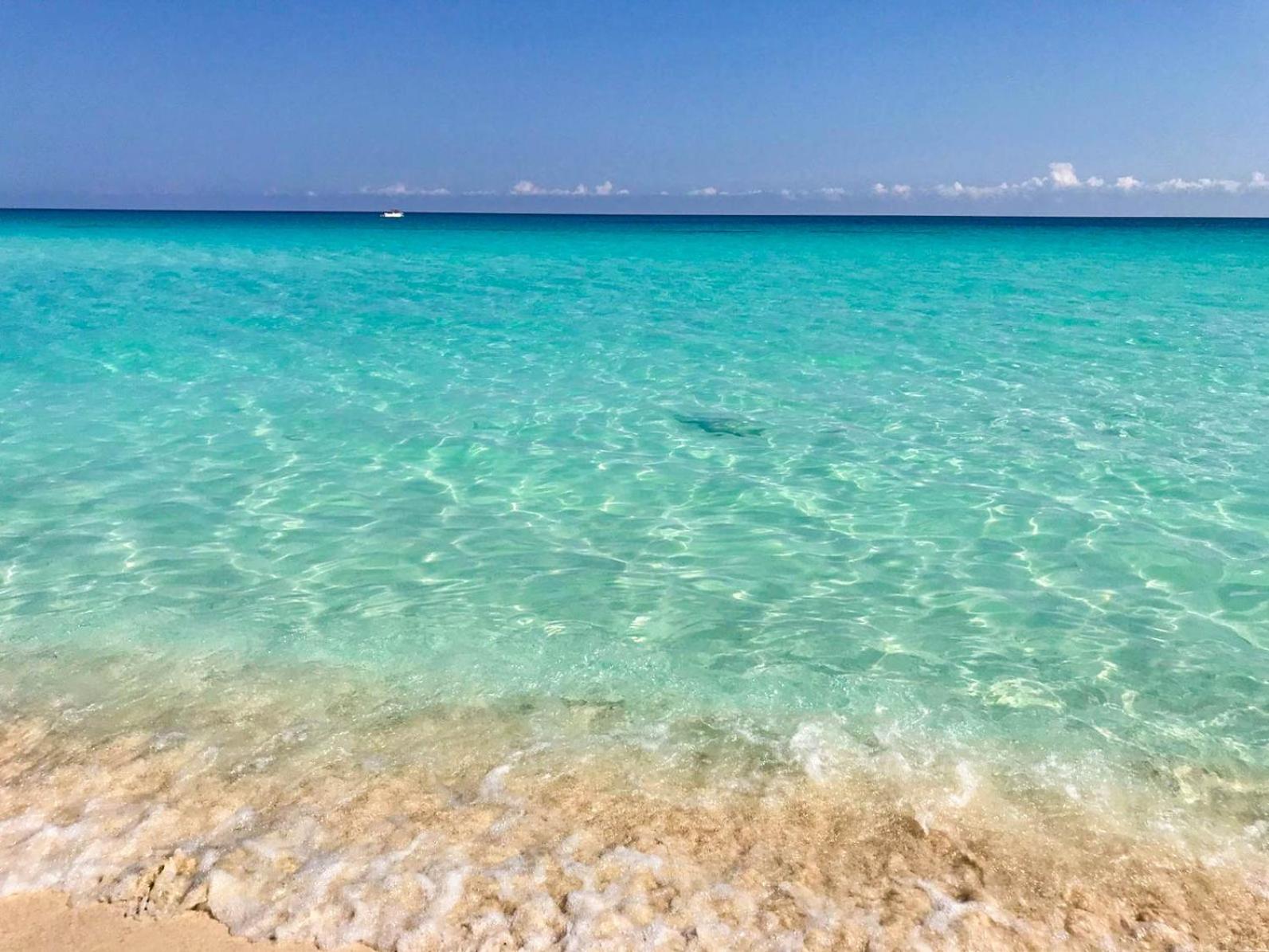 Seashore Apartment แคนคูน ภายนอก รูปภาพ